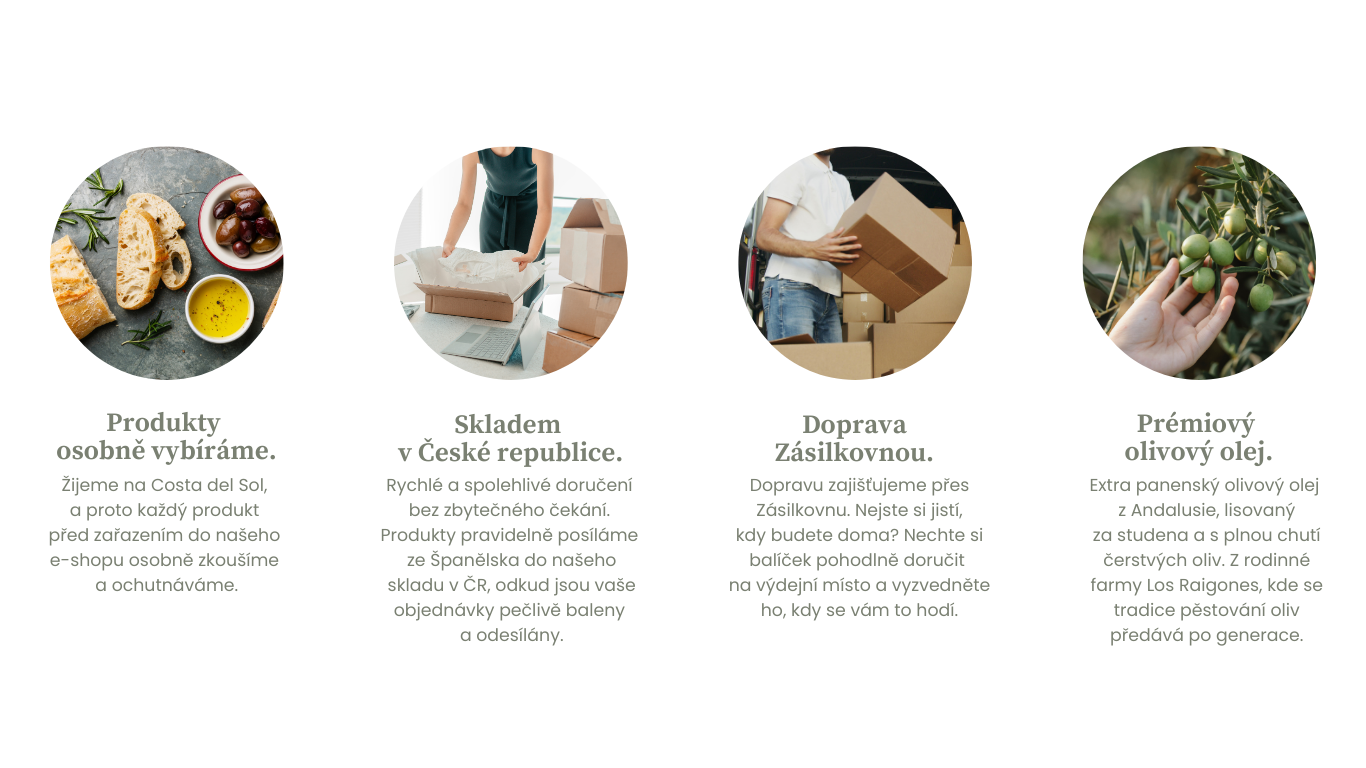 web uvod - zkouska